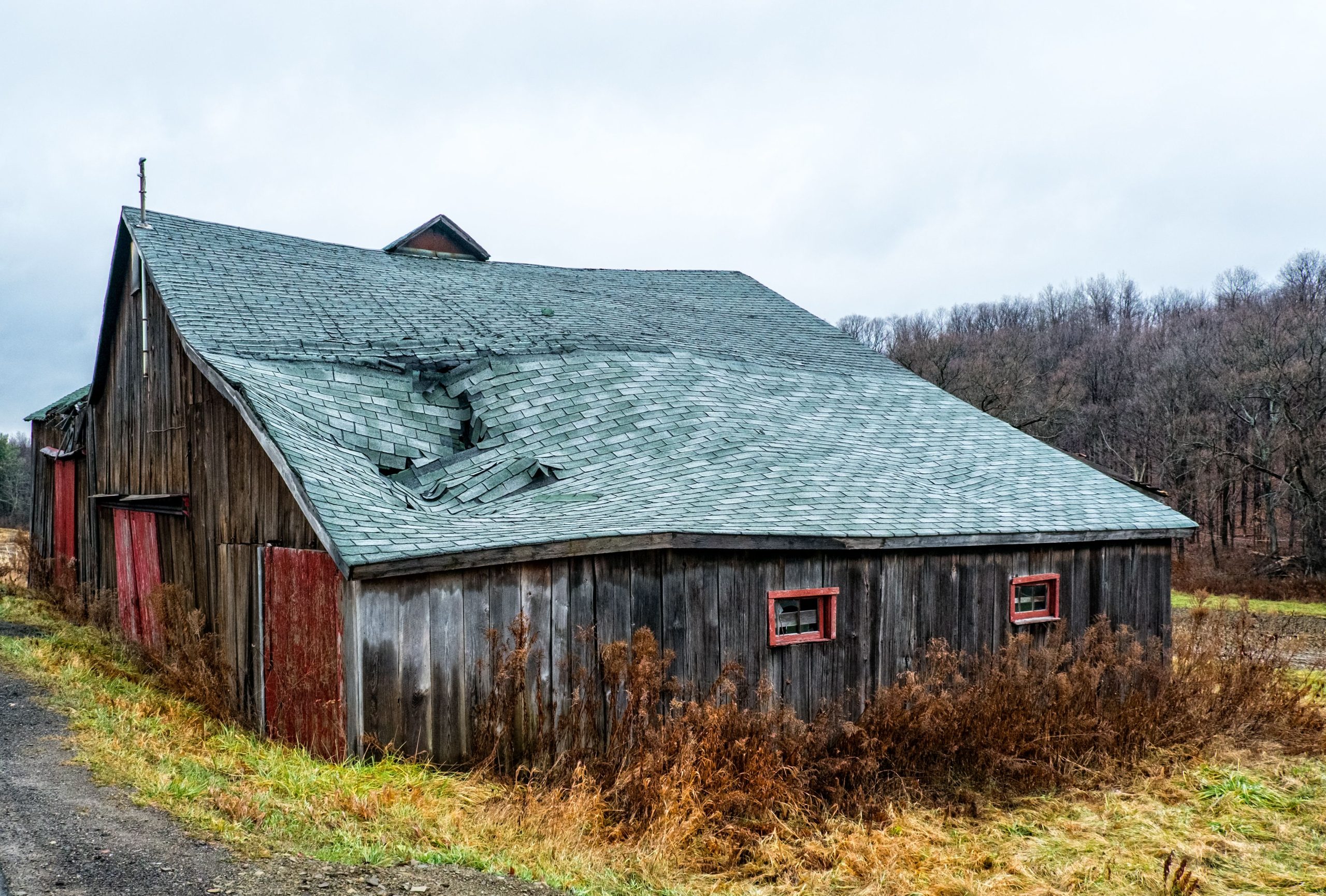 Grange bois toiture détériorée paysage rural