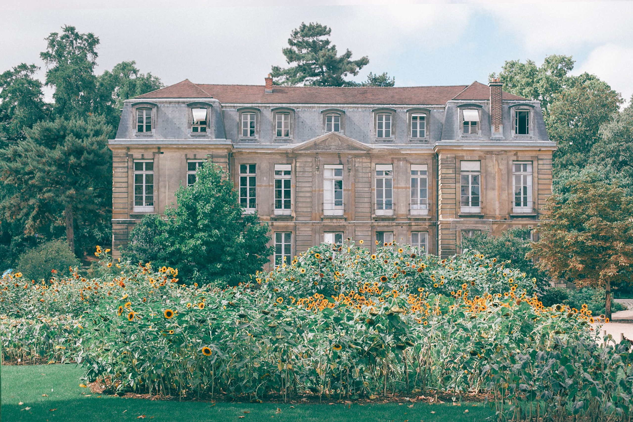 Facade pierre mansion elegante jardin arborise