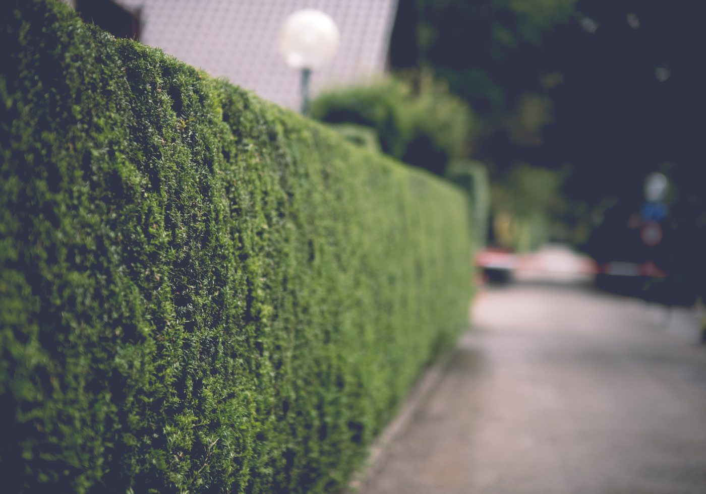 Quelle hauteur pour un mur anti bruit maison vraiment efficace ?