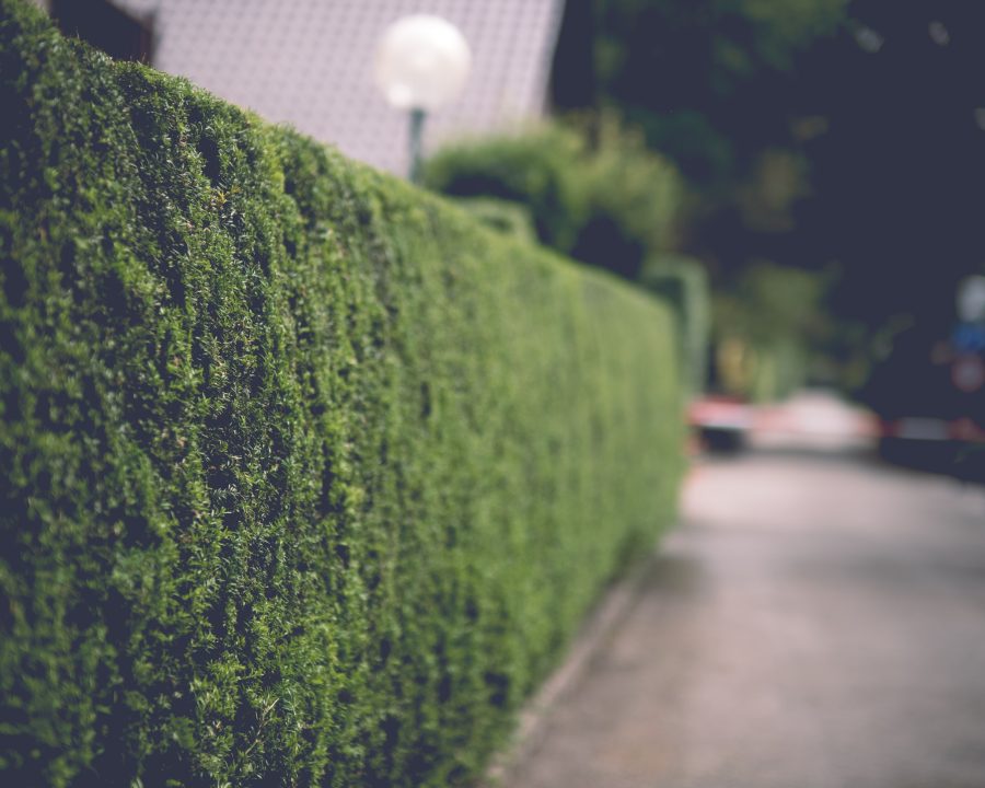 Quelle hauteur pour un mur anti bruit maison vraiment efficace ?